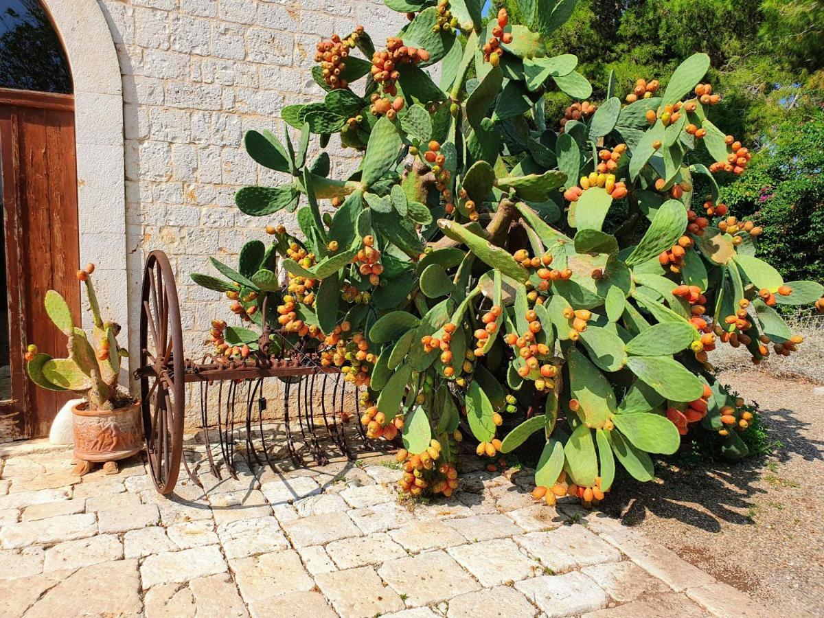 Masseria Agrituristica Lama San Giorgio Rutigliano Extérieur photo