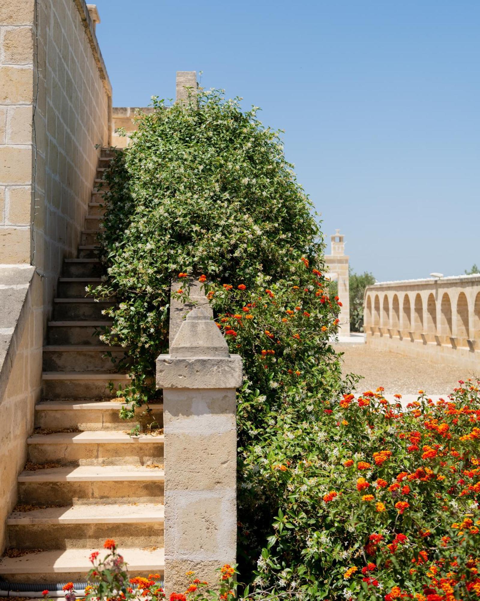 Masseria Agrituristica Lama San Giorgio Rutigliano Extérieur photo